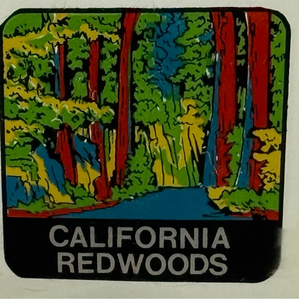 “California Redwoods” Vintage Travel Souvenir Clear Lucite Egg Timer 2.5” X 2.5” - Picture 3 of 4